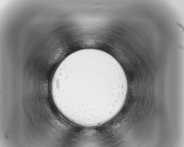X0000093360642200711081515