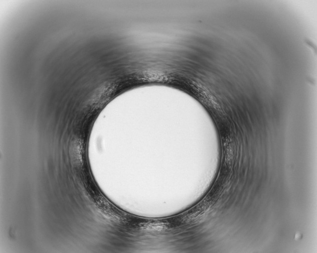 X0000093360643200711081515