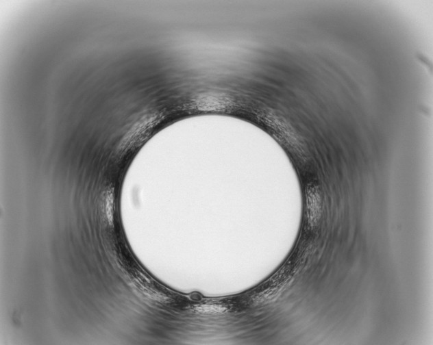 X0000093360644200711081515