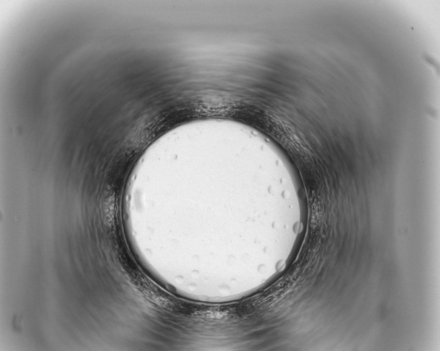 X0000093360647200711081515