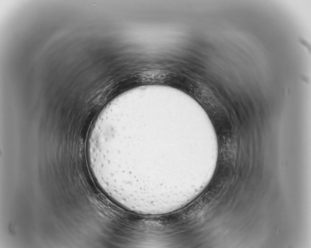 X0000093360649200711081515