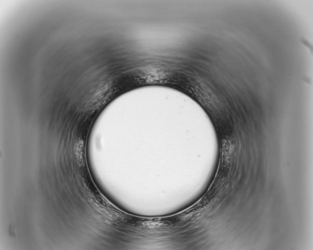 X0000093360650200711081515