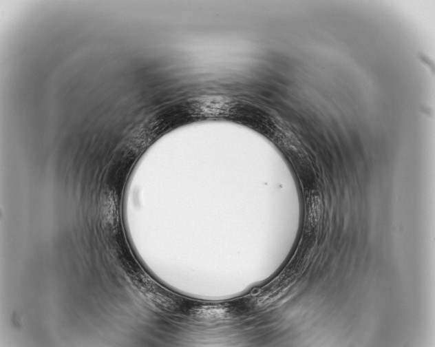 X0000093360651200711081515