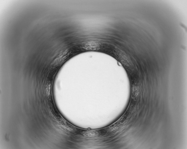 X0000093360652200711081515