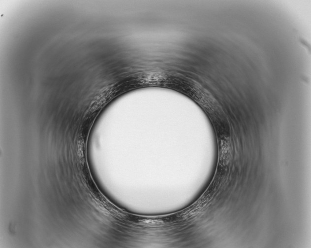 X0000093360654200711081515