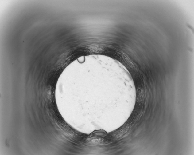 X0000093360655200711081515