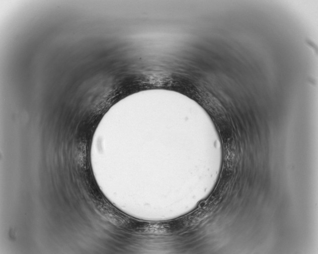 X0000093360656200711081515