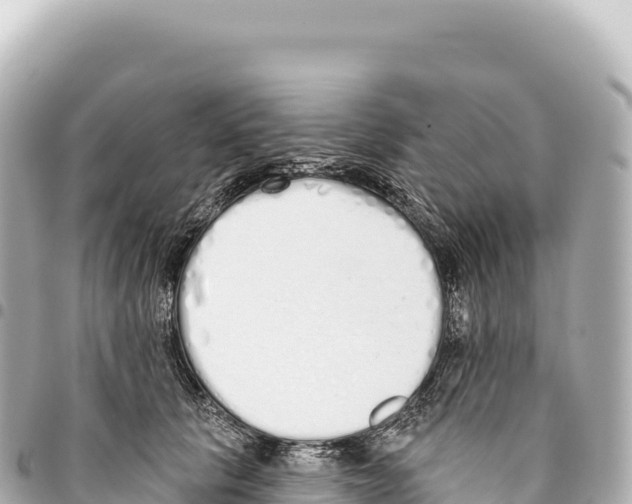 X0000093360657200711081515