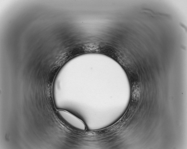 X0000093360658200711081515