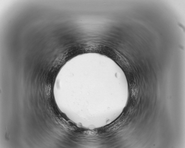 X0000093360660200711081515
