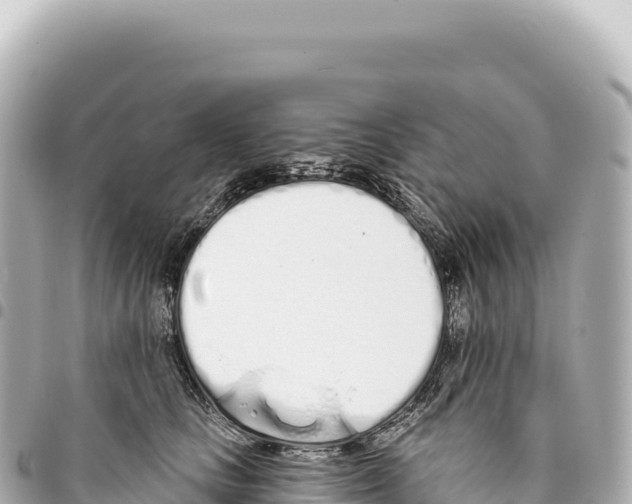 X0000093360661200711081515