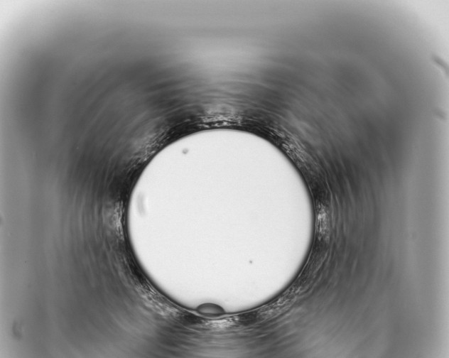 X0000093360662200711081515