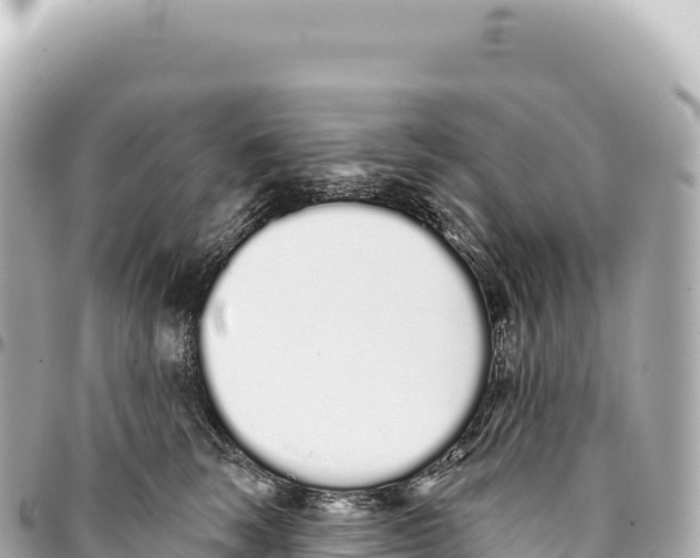 X0000093360663200711081515