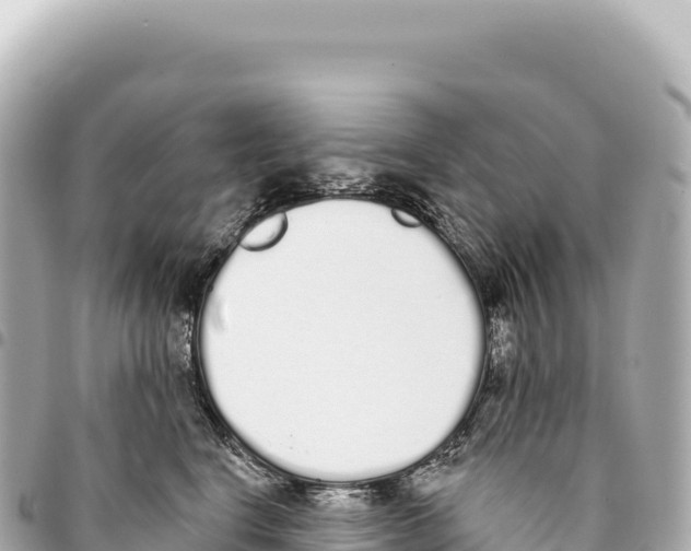 X0000093360664200711081516