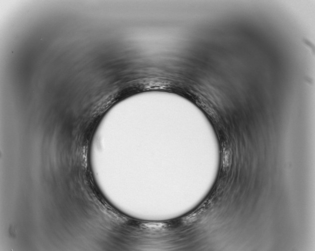 X0000093360666200711081516