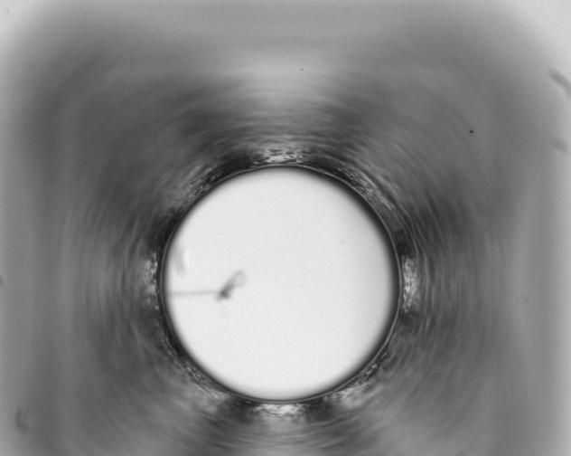 X0000093360667200711081516