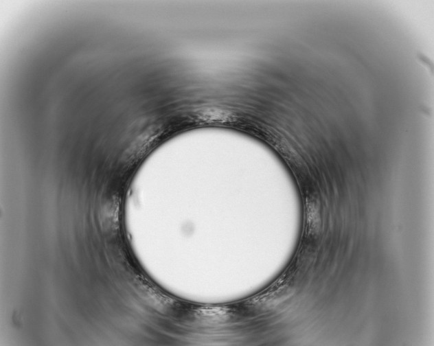 X0000093360668200711081516