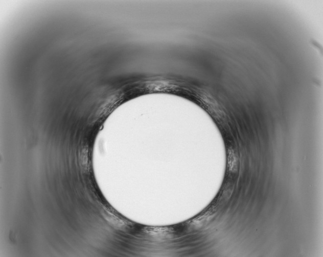 X0000093360670200711081516