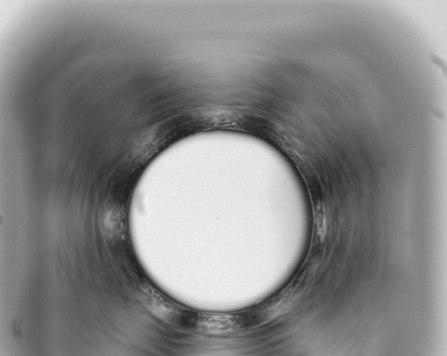 X0000093360671200711081516