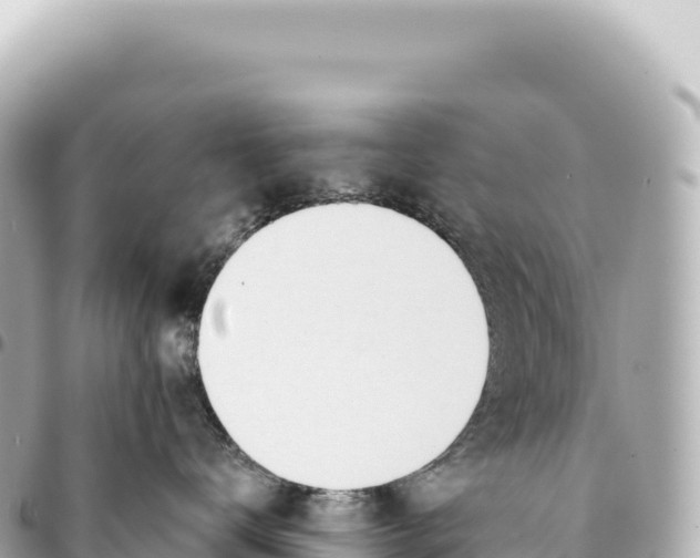 X0000093360672200711081516