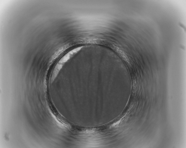 X0000093360674200711081515