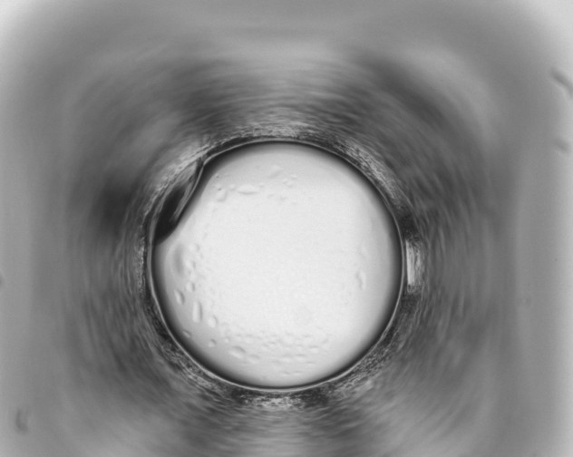 X0000093360675200711081515
