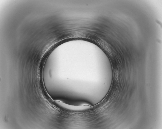 X0000093360676200711081515