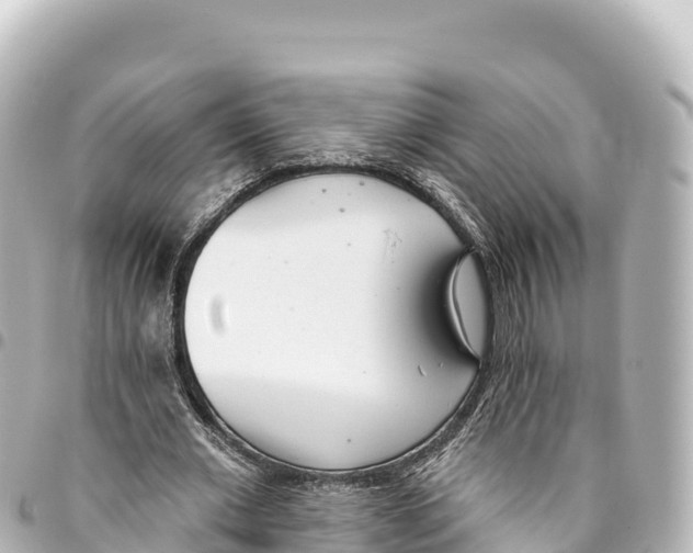 X0000093360677200711081515