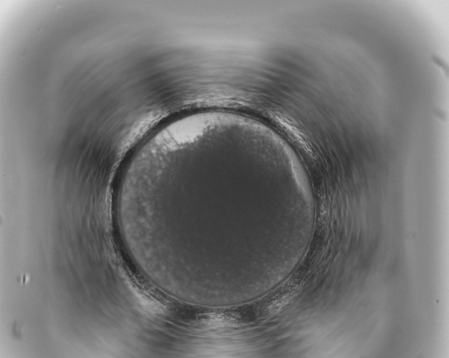 X0000093360678200711081515