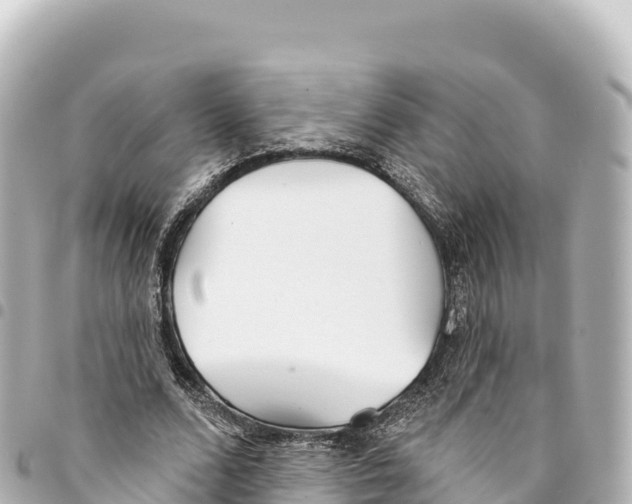 X0000093360680200711081515