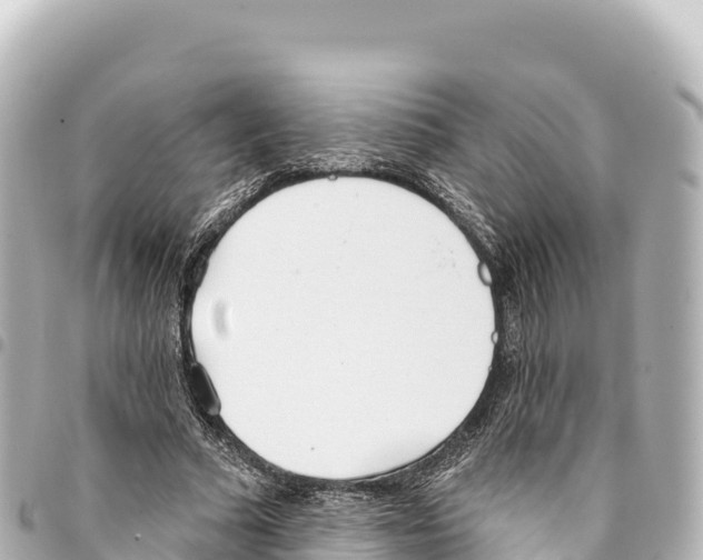 X0000093360681200711081515