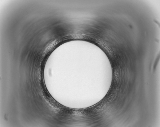 X0000093360682200711081515