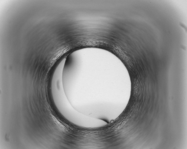 X0000093360683200711081515