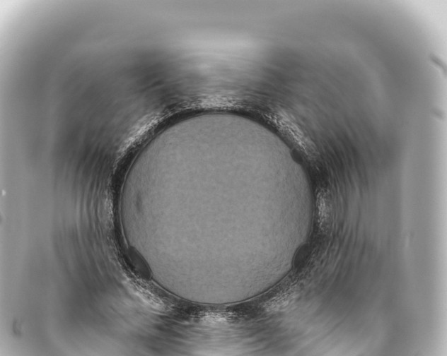 X0000093360684200711081515