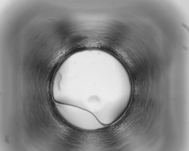 X0000093360687200711081515