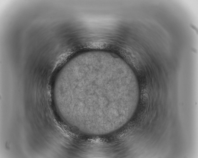 X0000093360688200711081515