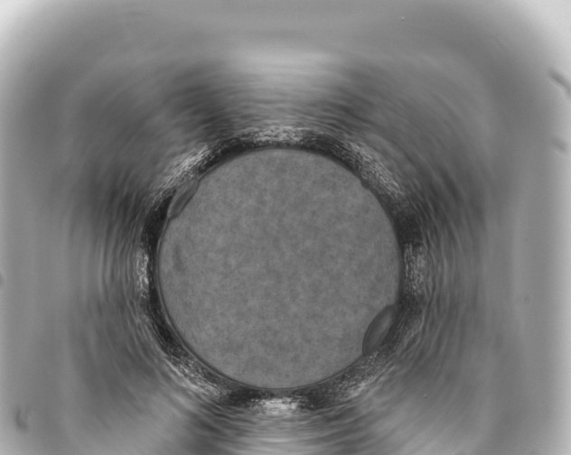 X0000093360692200711081515