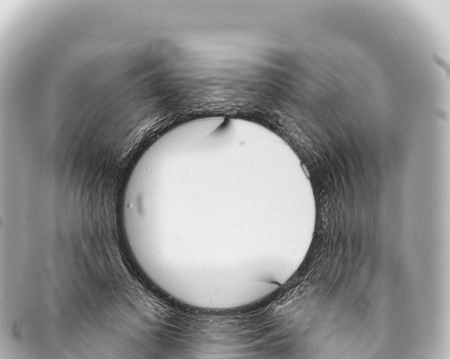 X0000093360693200711081515