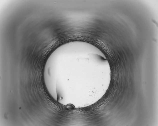 X0000093360697200711081515