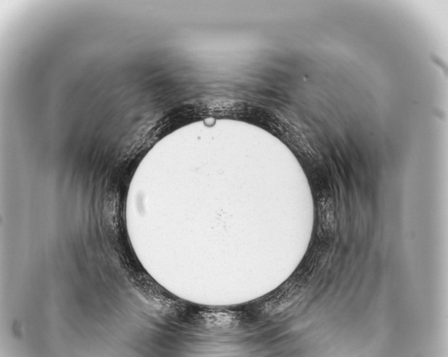 X0000093360698200711081515