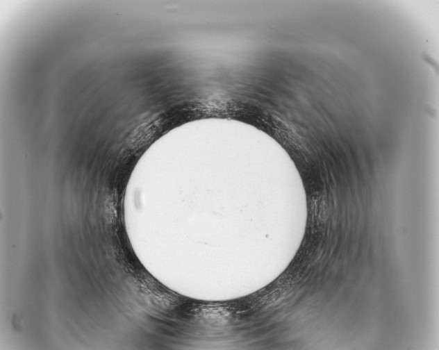 X0000093360702200711081515
