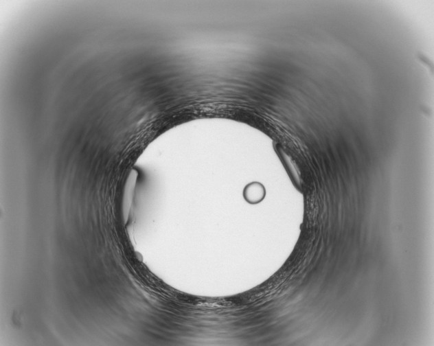 X0000093360703200711081515