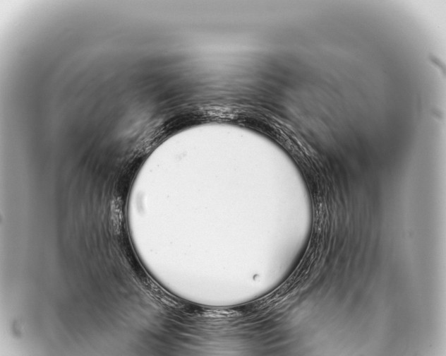X0000093360707200711081514