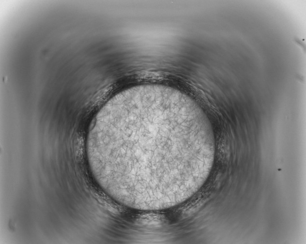 X0000093360708200711081514