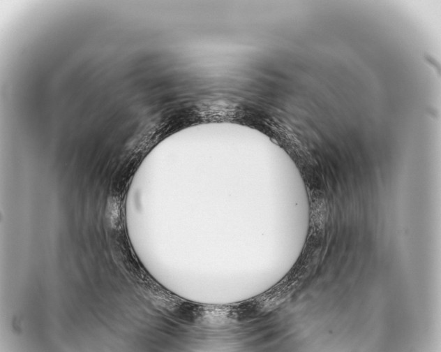 X0000093360709200711081514