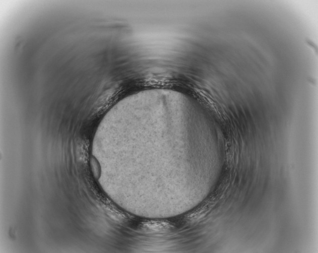 X0000093360712200711081514