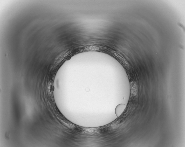 X0000093360713200711081514