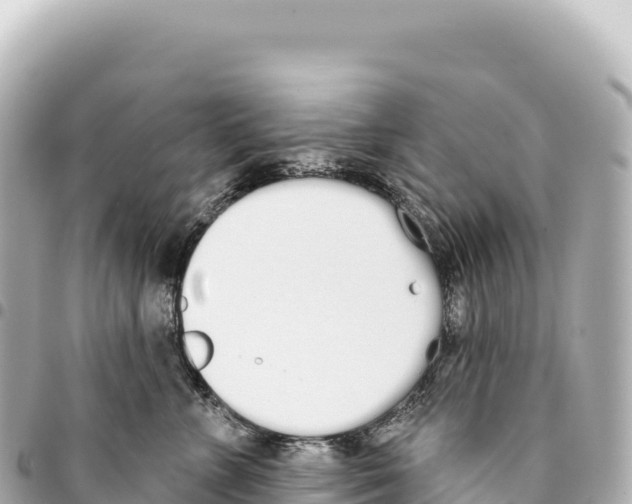 X0000093360715200711081514