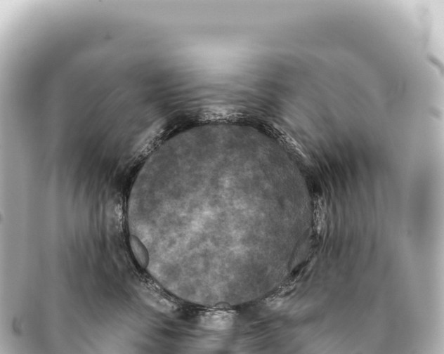 X0000093360716200711081514