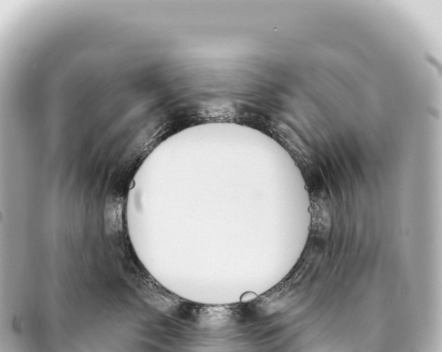 X0000093360717200711081514
